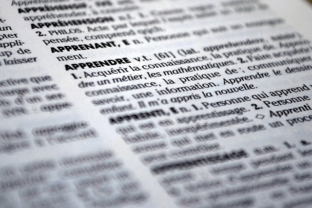 Key Terms and Definitions in MI Divorce Laws