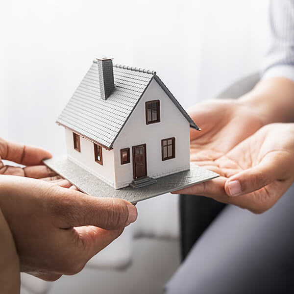 Estate Planning Law